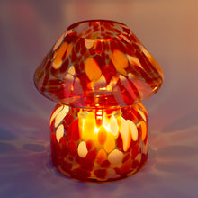 Load image into Gallery viewer, SIGNATURE MUSHROOM BUNDLE
