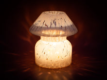 Load image into Gallery viewer, SIGNATURE MUSHROOM BUNDLE
